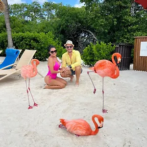 Bavaro Suites Pool Ducassi-sol Caribe Appartement Punta Cana
